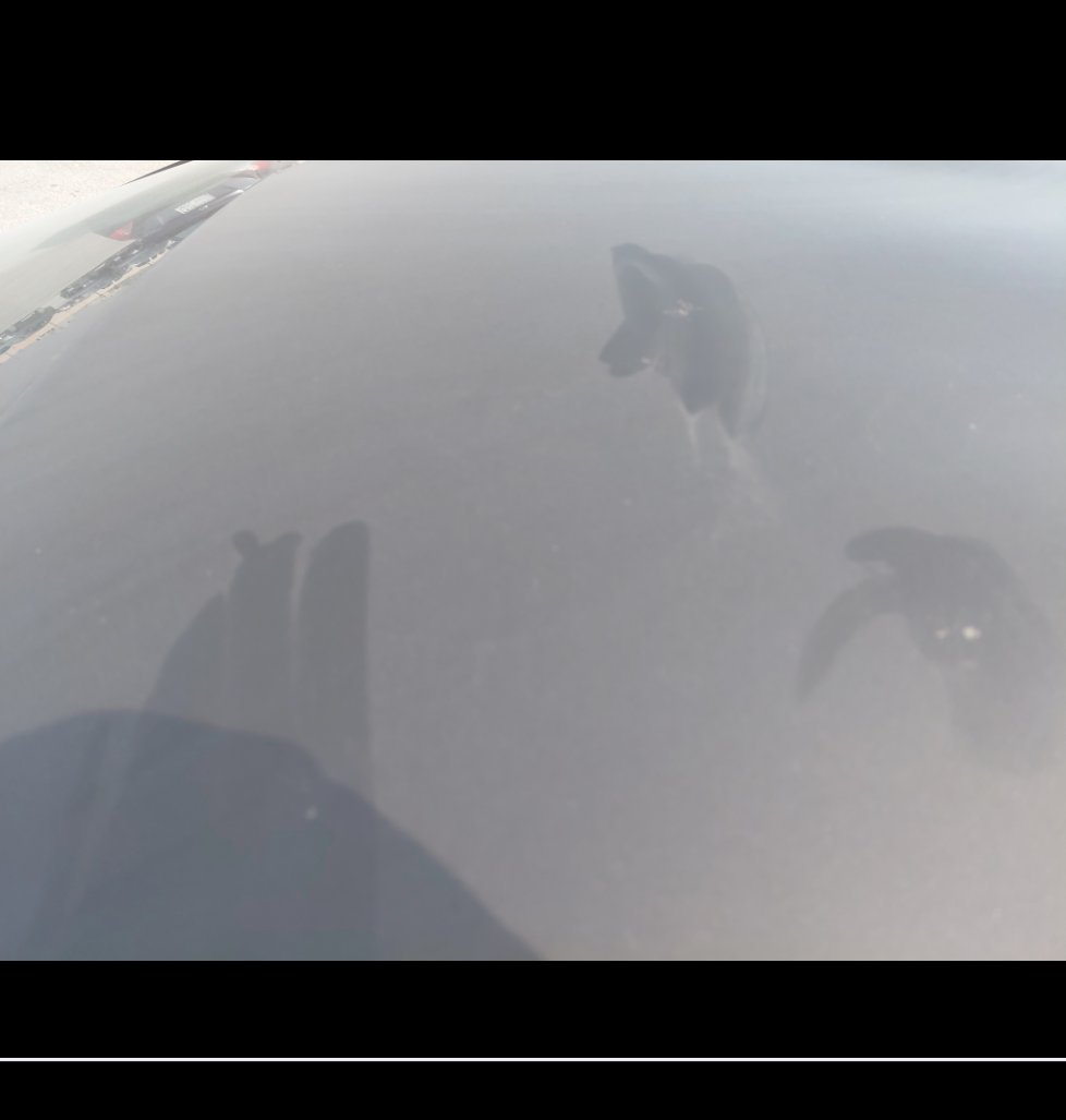 Toyota Yaris  2020 image