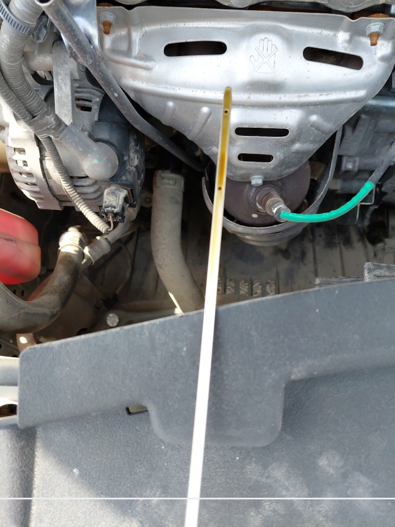 Toyota Yaris  2024 image