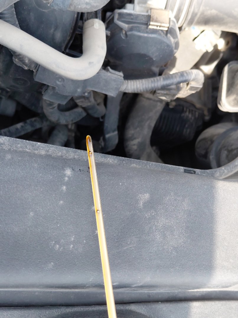 Toyota Corolla  2021 image