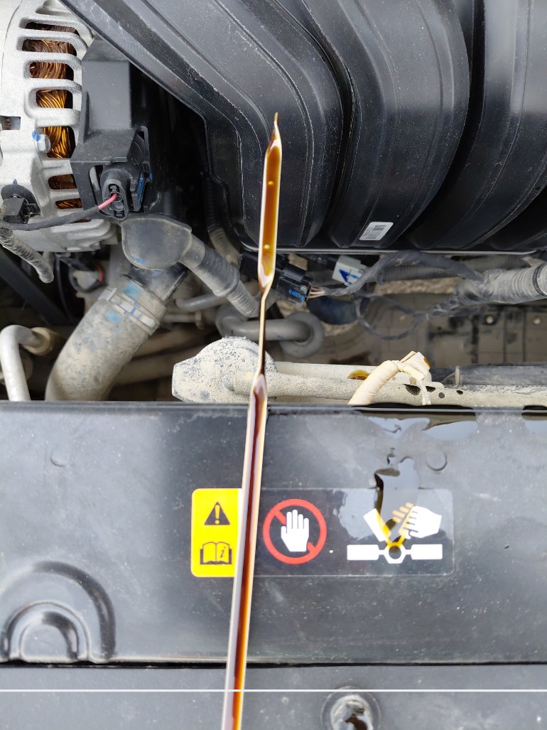 Hyundai Accent  2024 image