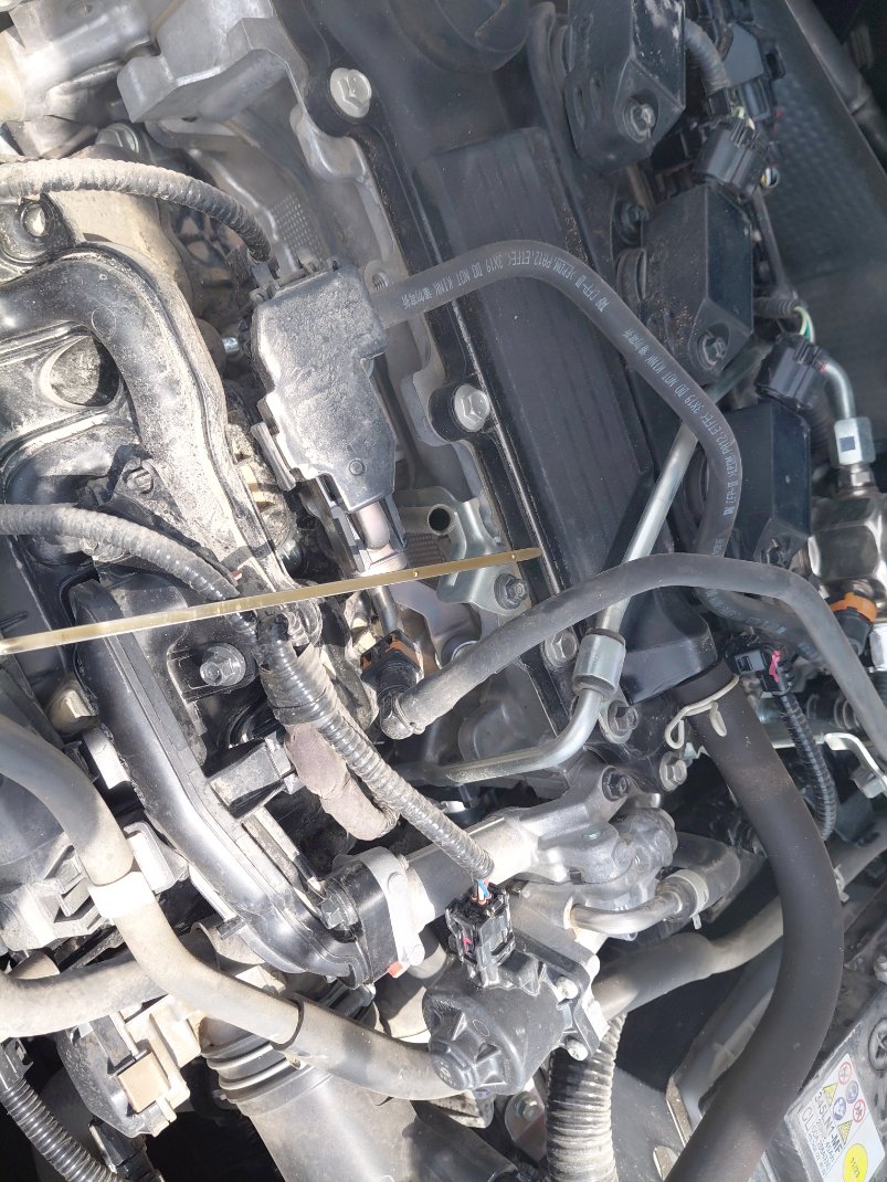 Toyota Corolla  2024 image