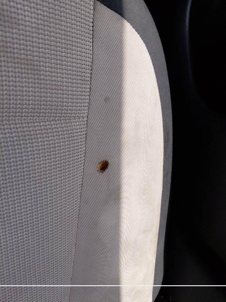 Hyundai Accent  2020 image