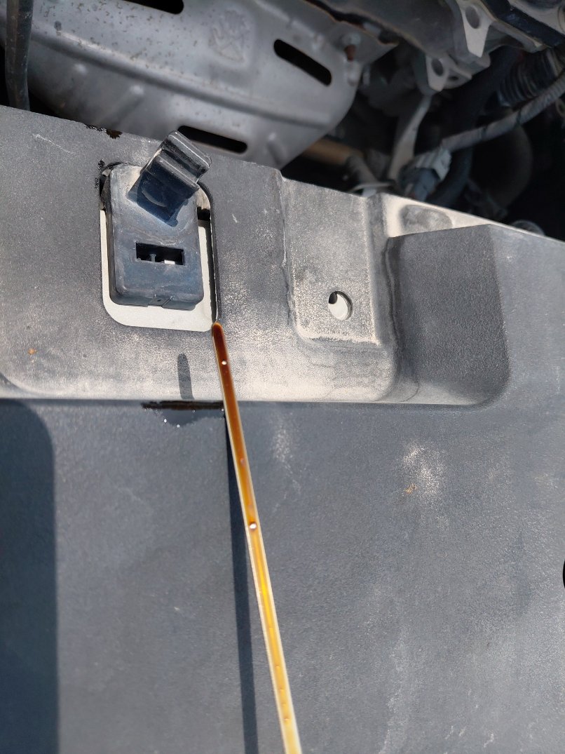 تويوتا يارس  2019 image