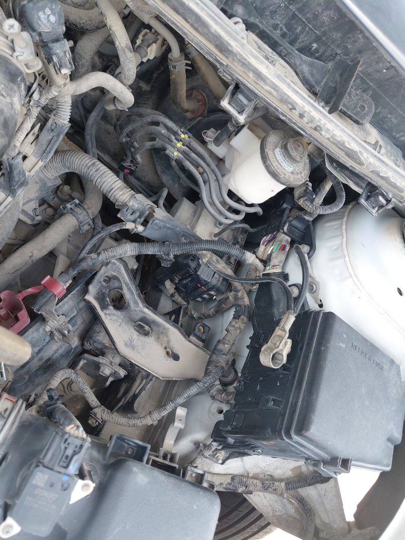 تويوتا يارس  2019 image