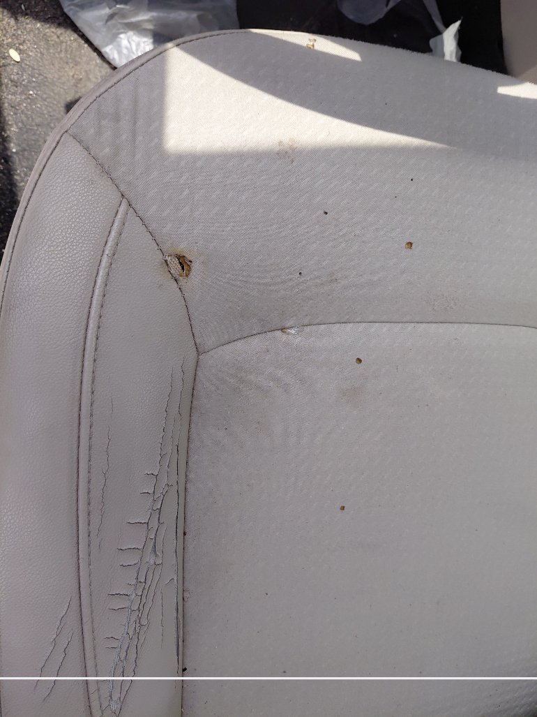 Renault Symbol  2020 image