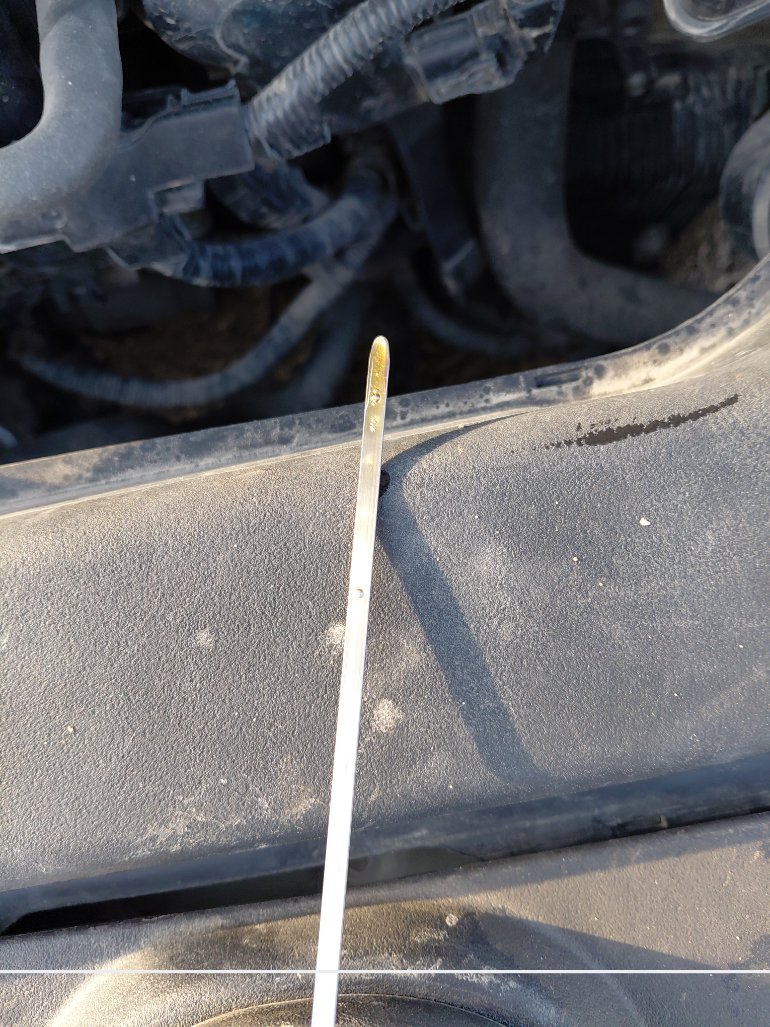 Toyota Corolla  2021 image