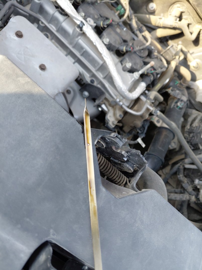 شفروليه كابتيفا  2022 image