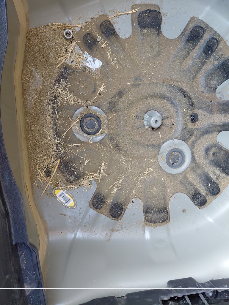 Toyota Corolla  2021 image