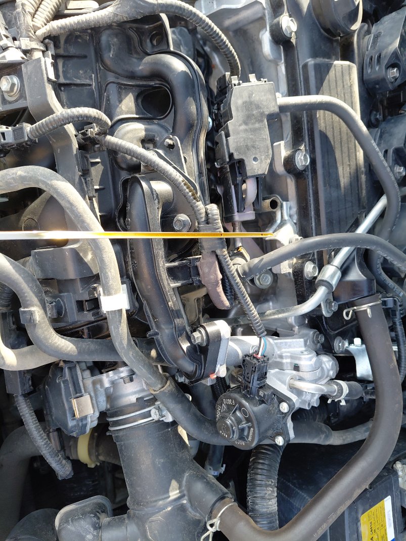 تويوتا كورولا  2021 image