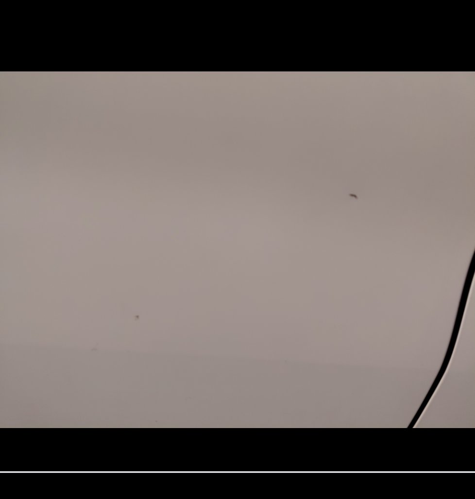 تويوتا راش  2022 image