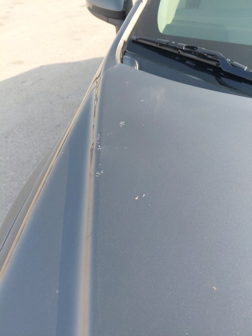 تويوتا كورولا  2021 image