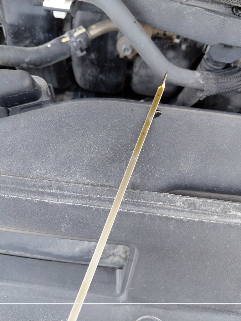 Toyota Camry  2020 image