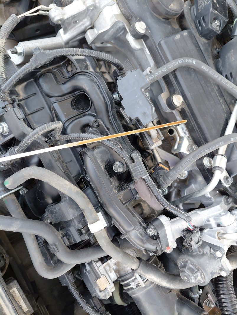 تويوتا كورولا  2023 image