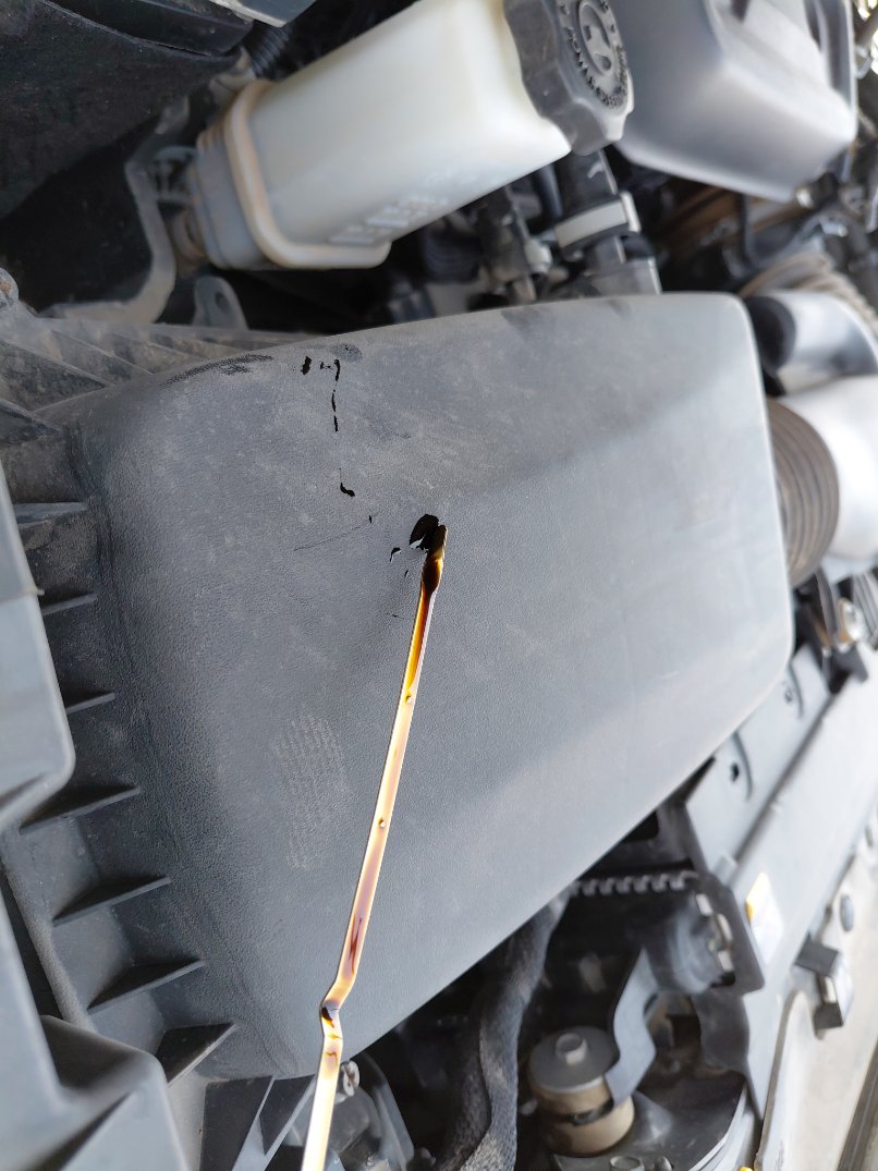 Jeep Wrangler Limited  2022 image