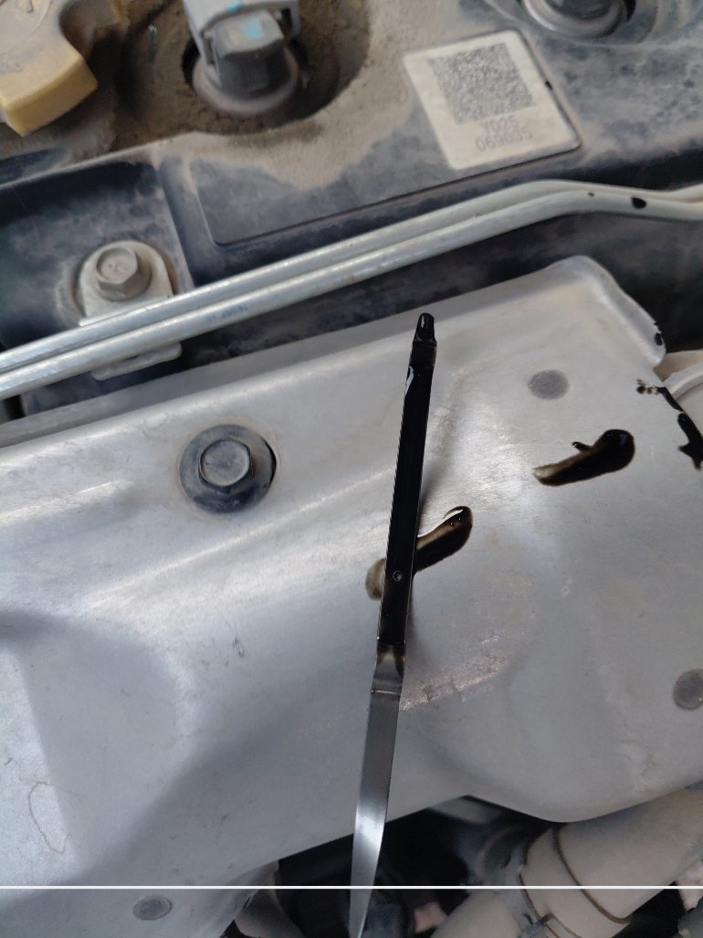 Nissan Urvan  2020 image