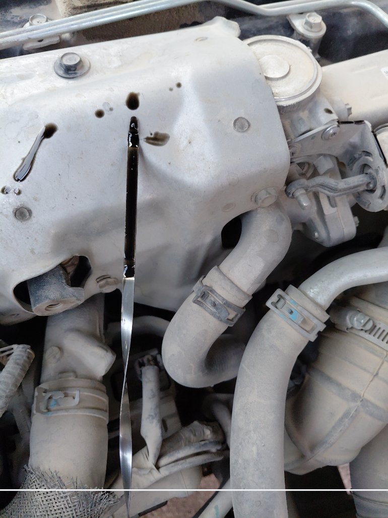 Nissan Urvan  2020 image