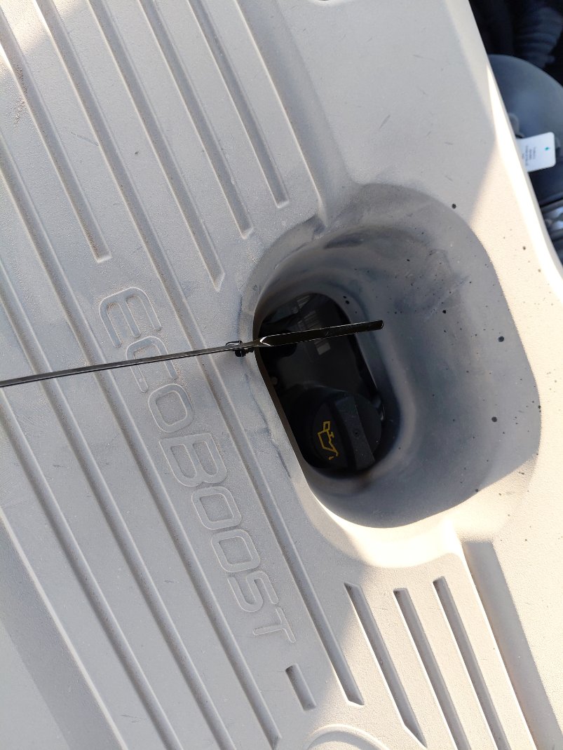 Ford Taurus  2022 image