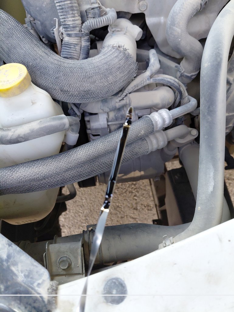 Nissan Urvan  2020 image