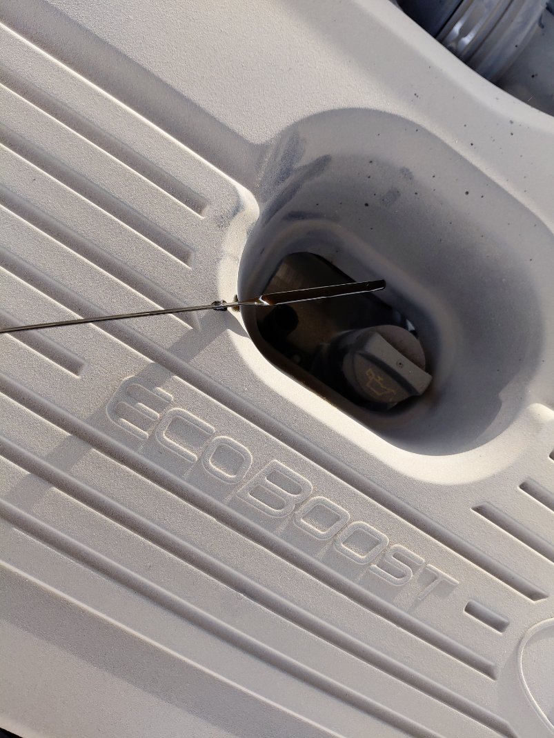 Ford Taurus  2022 image