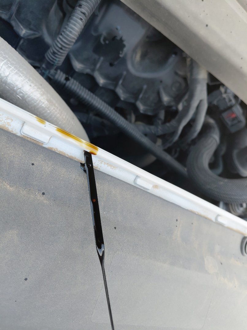 Ford Taurus  2022 image