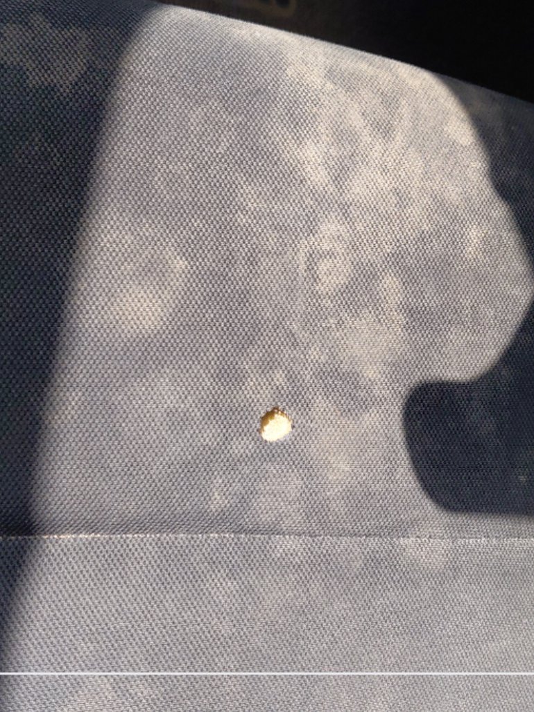 Isuzu D MAX 4X4 - 2022 image