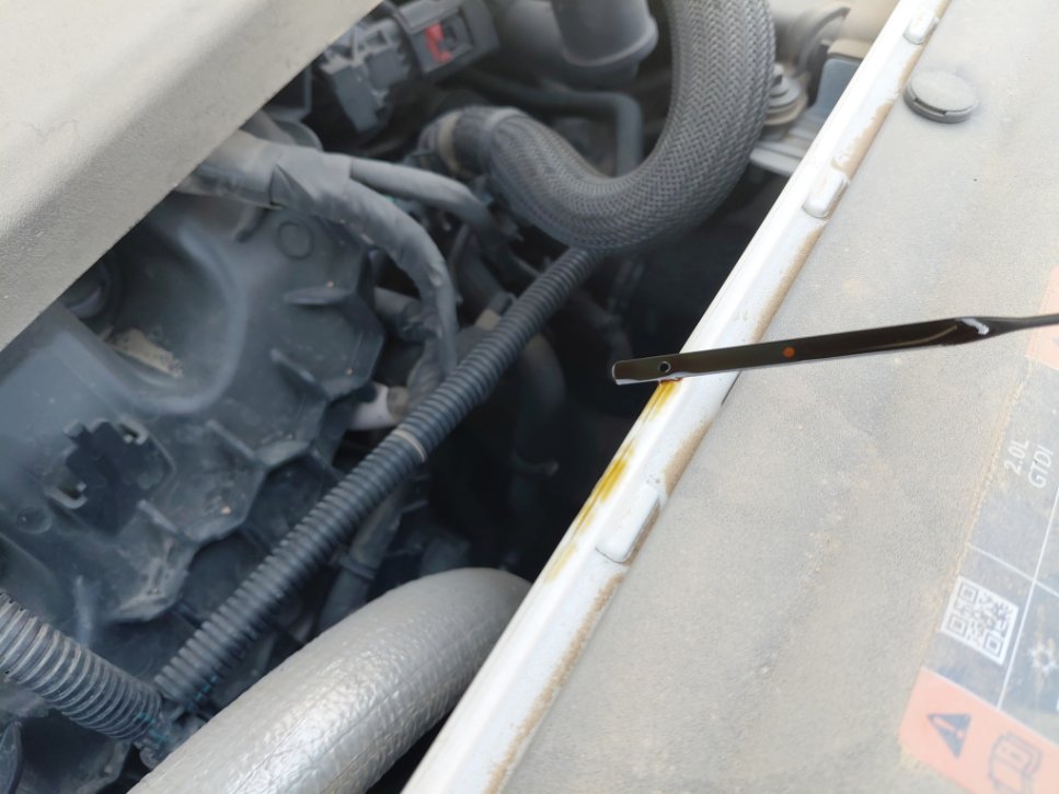 Ford Taurus  2022 image