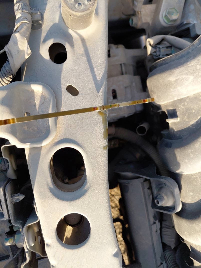 Nissan Sunny  2019 image