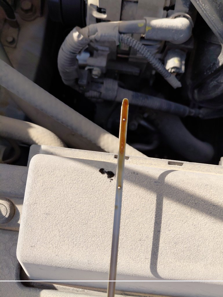 Toyota Corolla XLI 2022 image