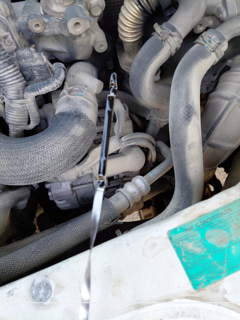 Nissan Urvan  2021 image