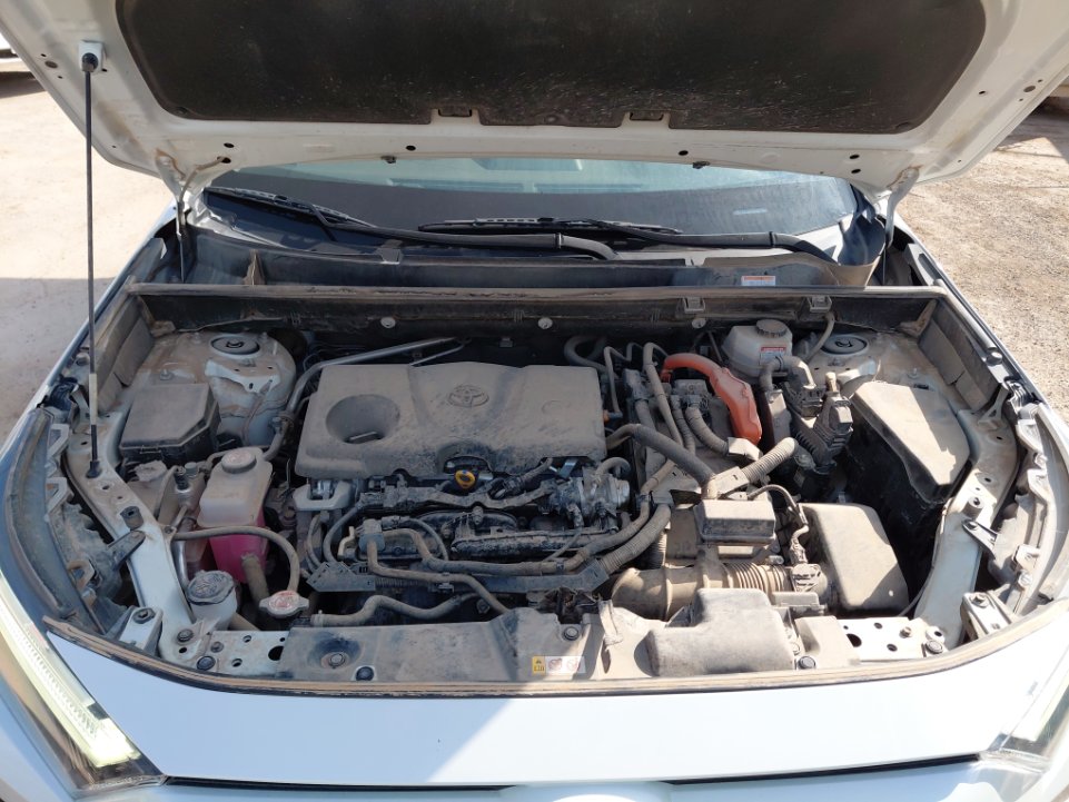 Toyota RAV4  2022 image