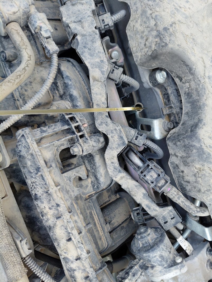 Toyota RAV4  2022 image