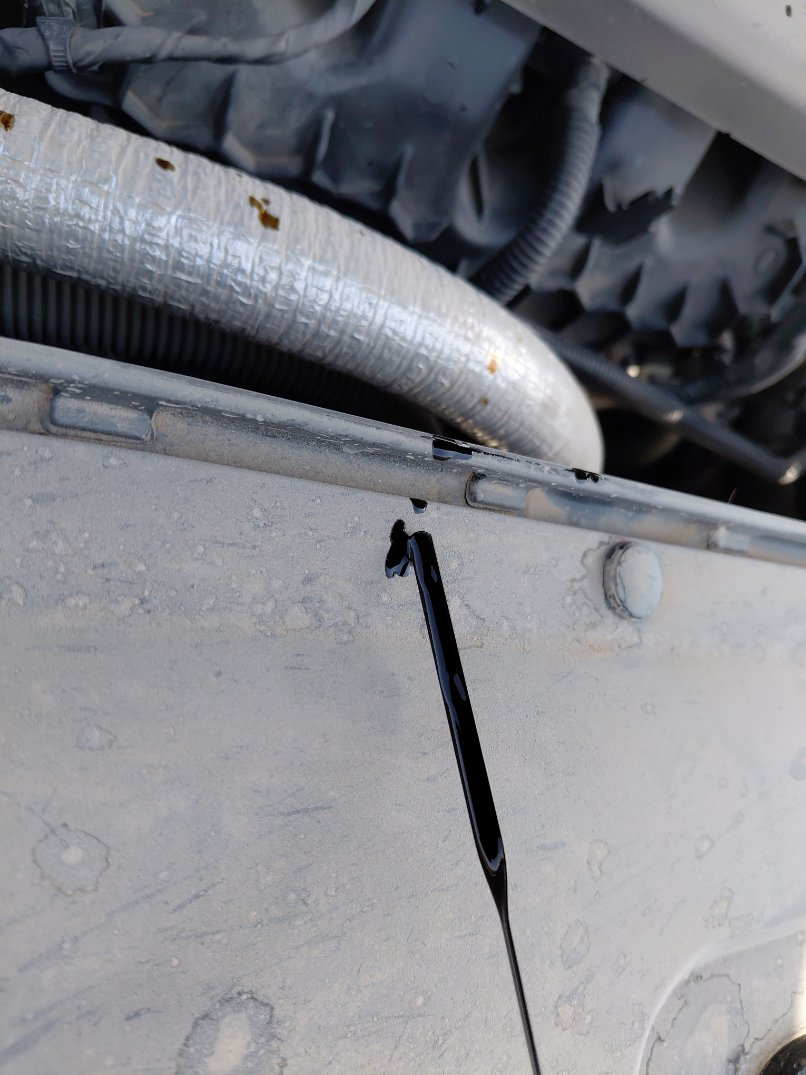 Ford Taurus  2022 image