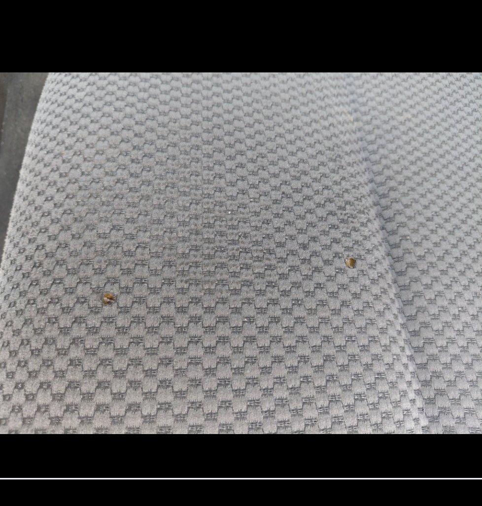 Nissan Urvan  2021 image