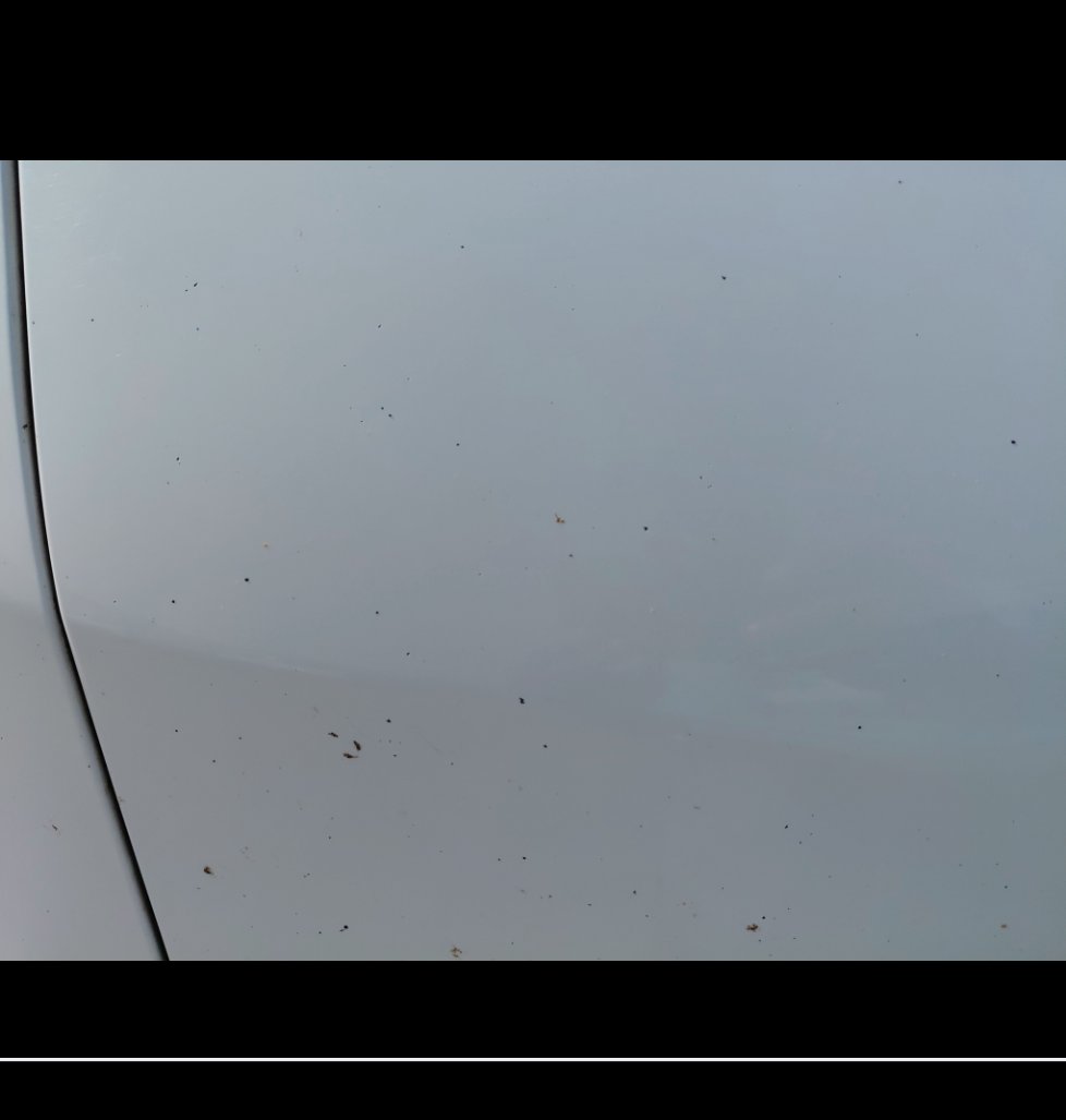 Nissan Urvan  2021 image