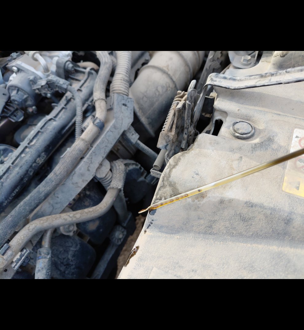 Toyota RAV4  2022 image