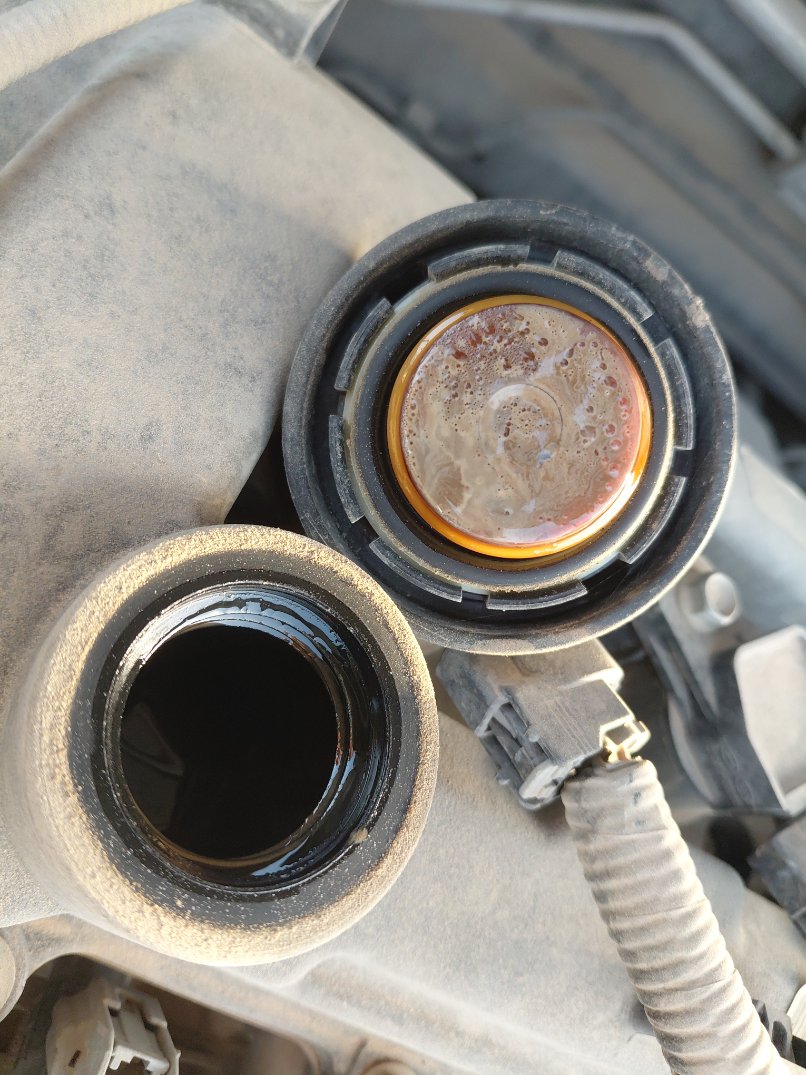 KIA Pegas LX FWD  2022 image