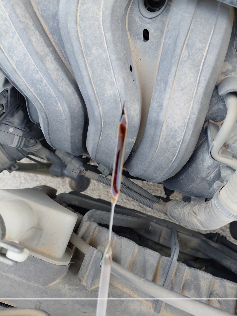 KIA Cerato  2024 image