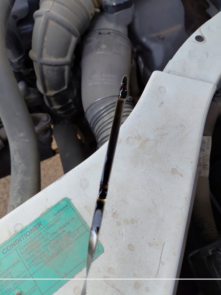 Nissan Urvan  2020 image