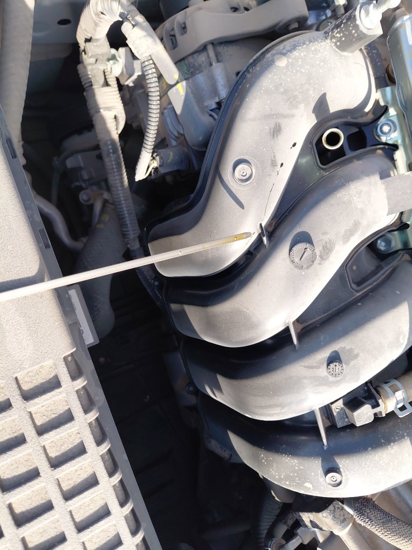 تويوتا كورولا XLI 2022 image