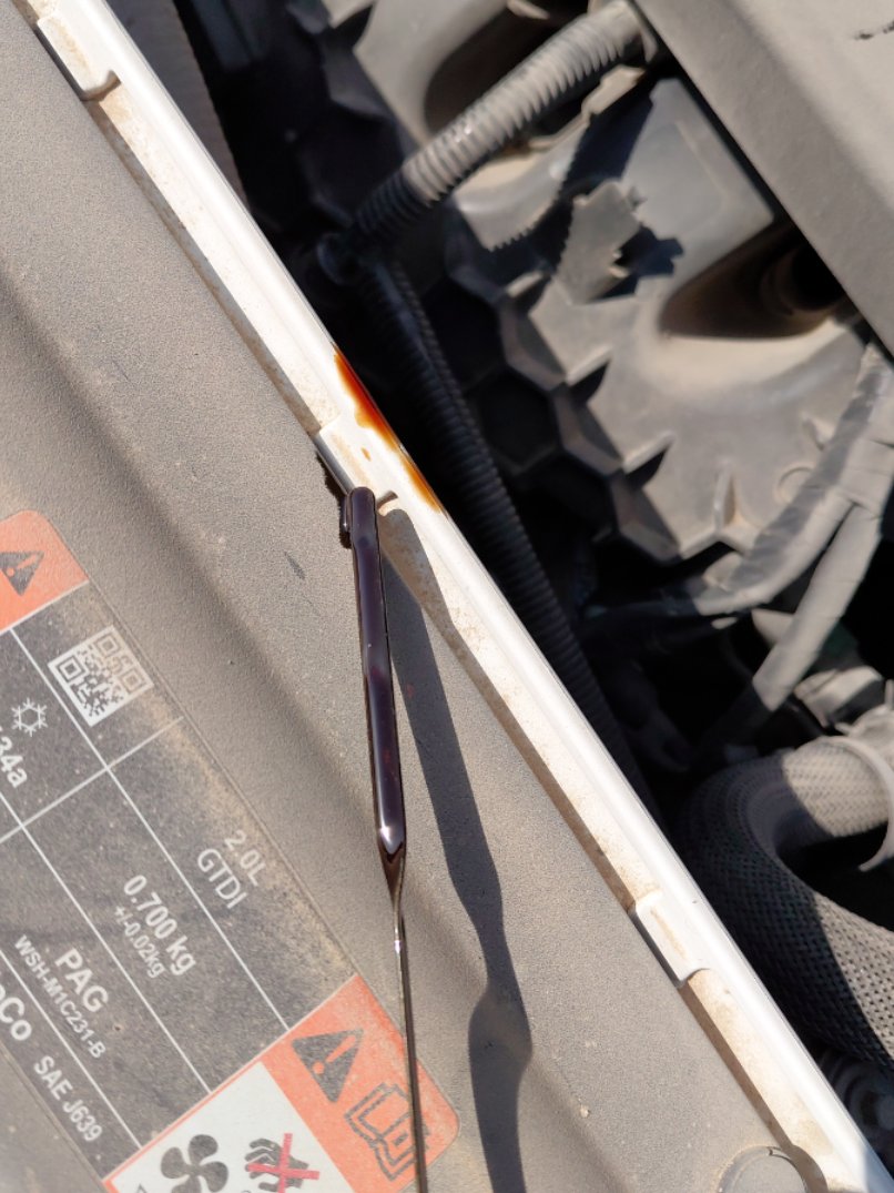 Ford Taurus  2022 image