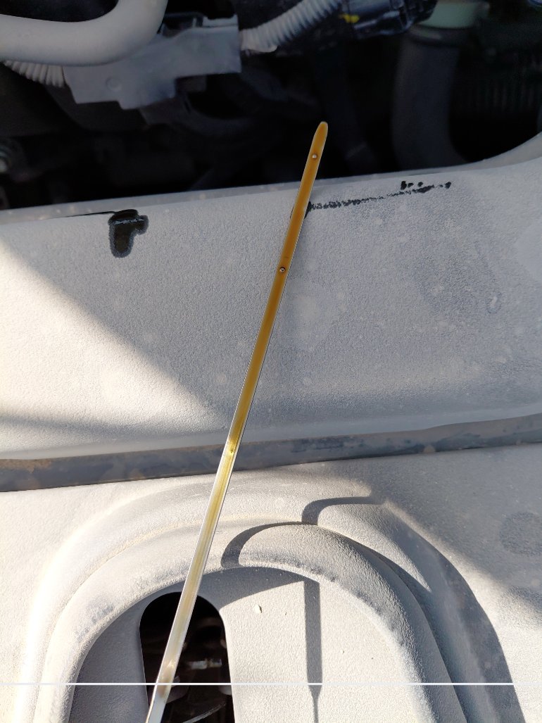 تويوتا كورولا  2022 image