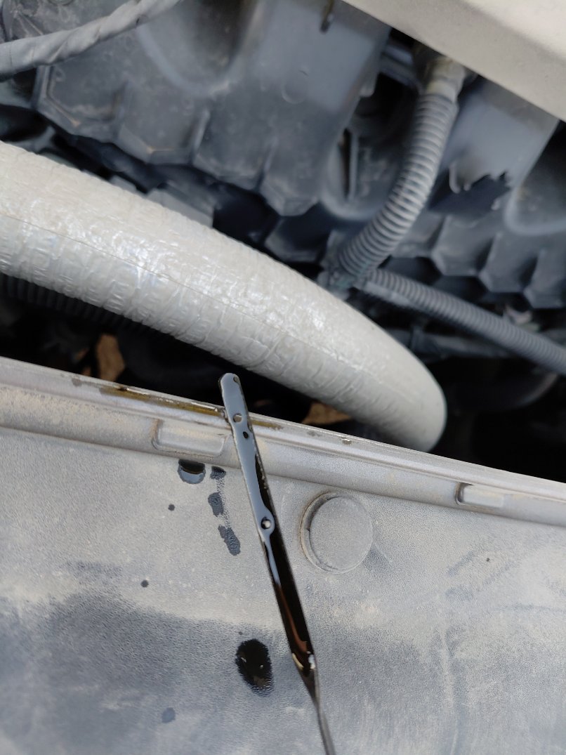 Ford Taurus  2022 image