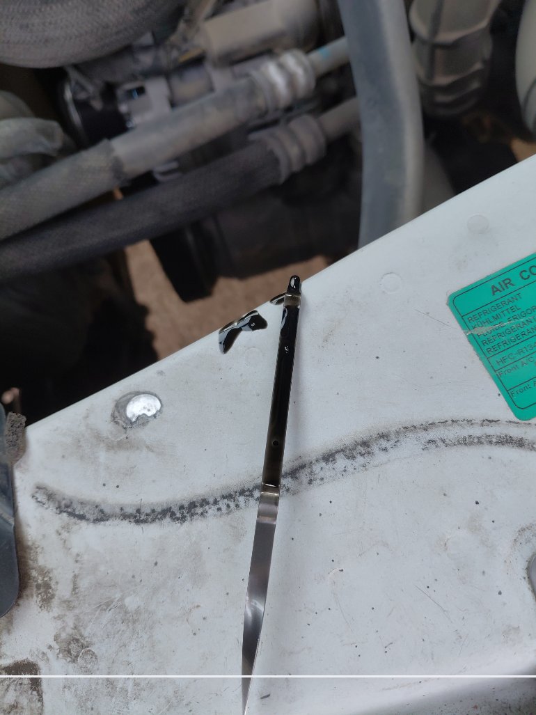 Nissan Urvan  2020 image