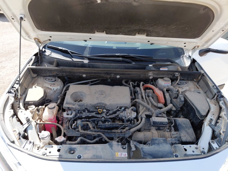 تويوتا راف فور  2022 image