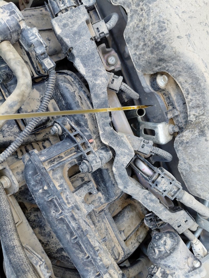 تويوتا راف فور  2022 image