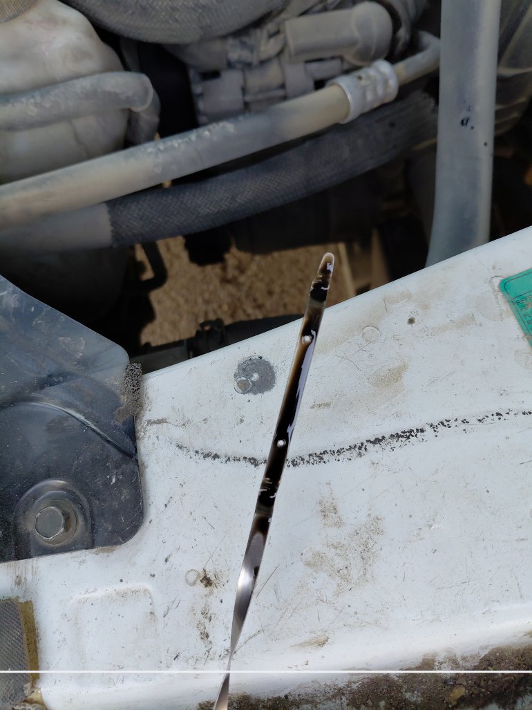 Nissan Urvan  2020 image