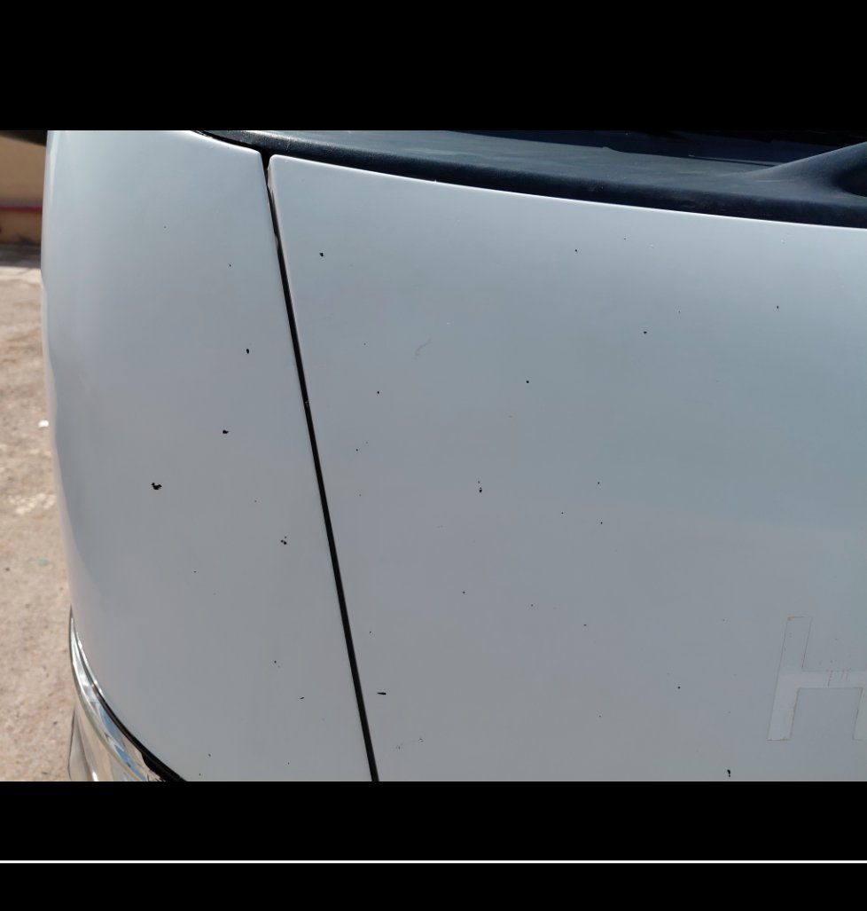 Nissan Urvan  2020 image