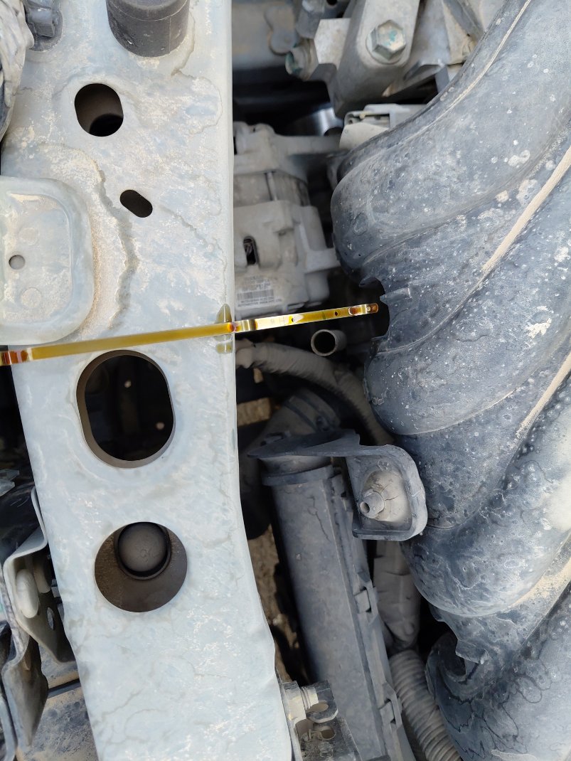 Nissan Sunny  2019 image