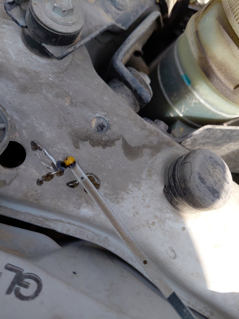 ايسوزو ديماكس  2022 image