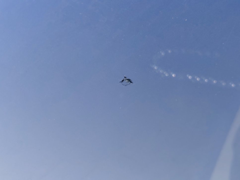 ايسوزو ديماكس  2022 image